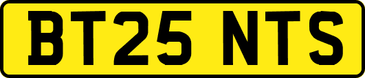 BT25NTS