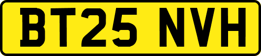 BT25NVH