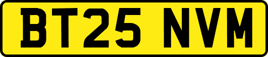 BT25NVM