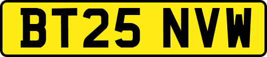 BT25NVW