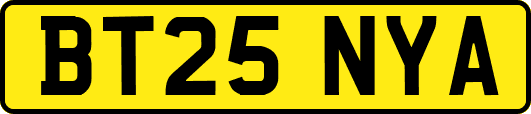 BT25NYA