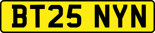 BT25NYN