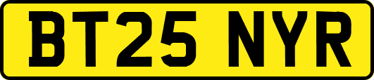 BT25NYR