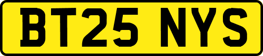 BT25NYS