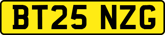 BT25NZG