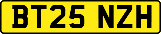 BT25NZH