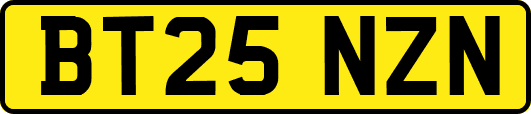 BT25NZN