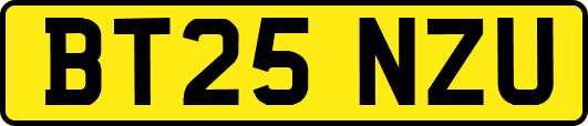 BT25NZU