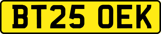 BT25OEK