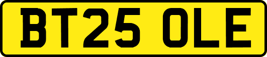 BT25OLE