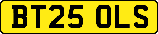 BT25OLS