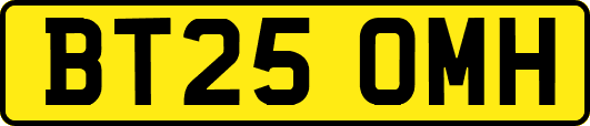 BT25OMH