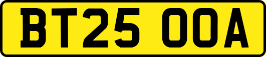 BT25OOA