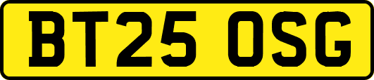 BT25OSG