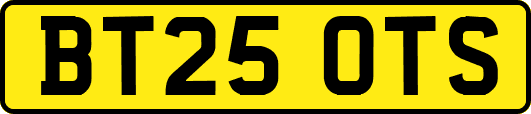 BT25OTS