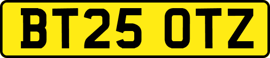 BT25OTZ