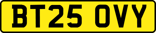 BT25OVY