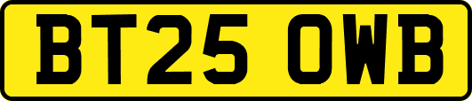 BT25OWB