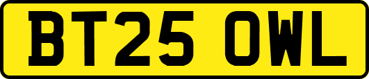 BT25OWL