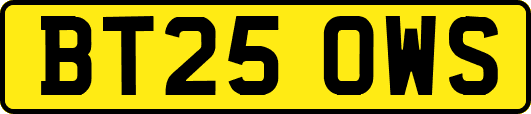 BT25OWS