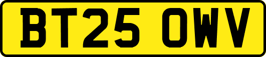 BT25OWV