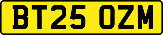 BT25OZM