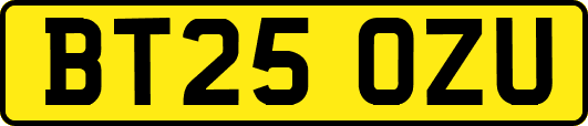 BT25OZU