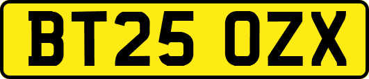 BT25OZX