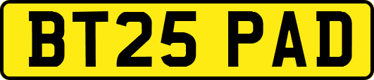 BT25PAD