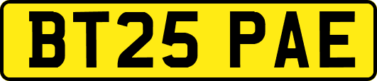 BT25PAE
