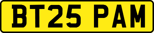 BT25PAM