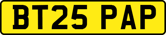 BT25PAP