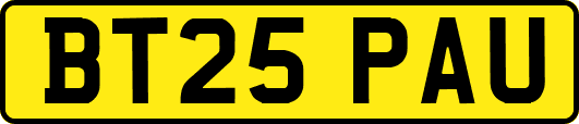 BT25PAU
