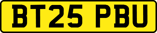 BT25PBU
