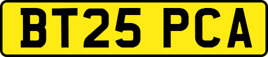 BT25PCA