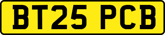 BT25PCB