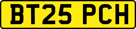 BT25PCH