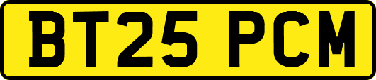 BT25PCM