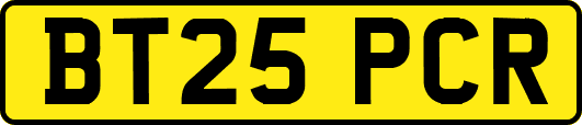 BT25PCR