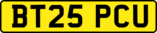 BT25PCU