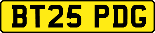 BT25PDG