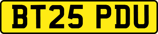 BT25PDU