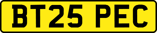 BT25PEC