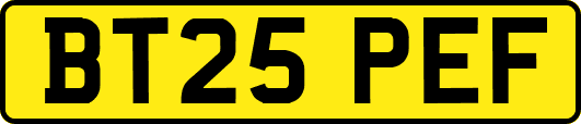 BT25PEF