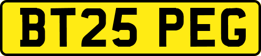 BT25PEG