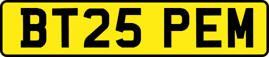 BT25PEM