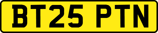 BT25PTN