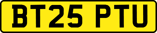 BT25PTU