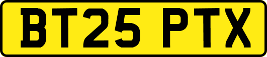BT25PTX