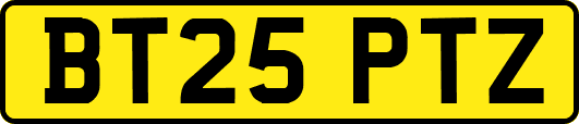 BT25PTZ